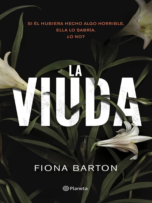 Title details for La viuda by Fiona Barton - Wait list